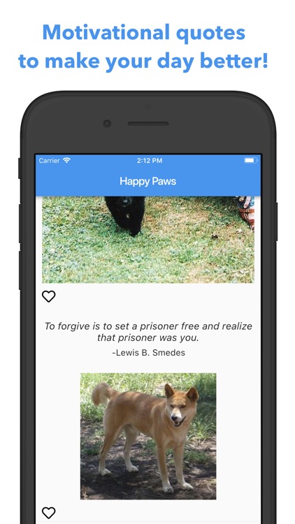 Awe, Happy Paws screenshot-4