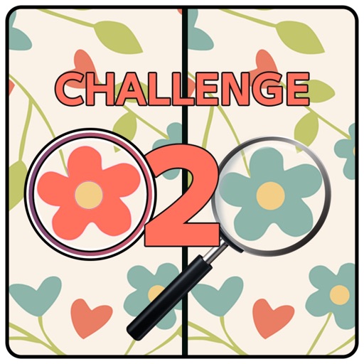 Five Differences Challenge 2 icon