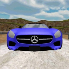 Activities of Real Car Simulator Game