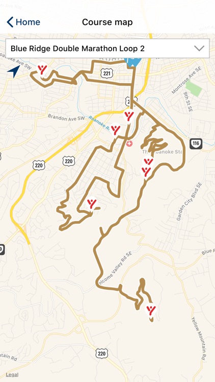 Blue Ridge Marathon 2020 screenshot-3