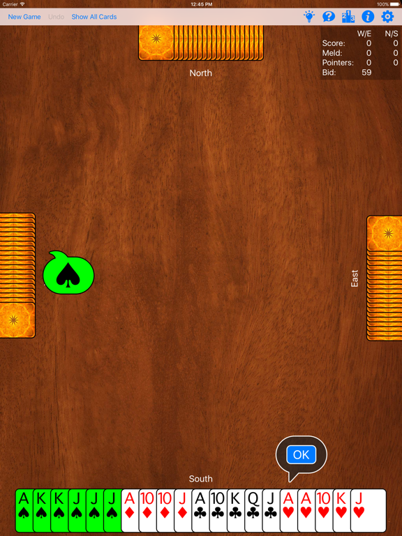 Pinochle+ screenshot 4
