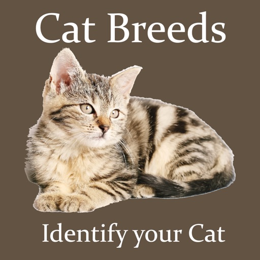 Cat Breeds - Identify your Cat iOS App