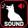 Dog Bark Sound Button 2020
