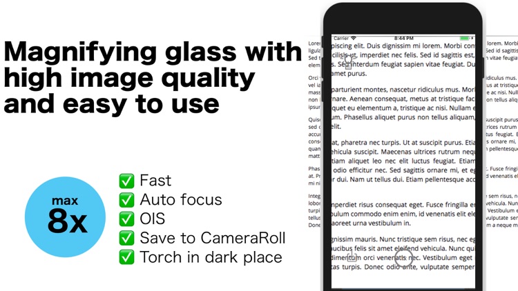 Magnifying Glass - handy loupe