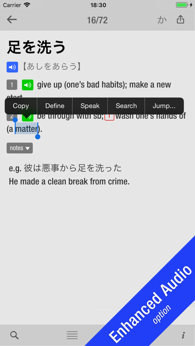 10000 Japanese Idioms screenshot 2