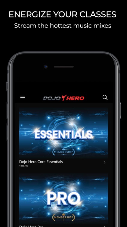 Dojo Hero screenshot-3