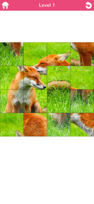 101 Puzzle Pix(圖1)-速報App