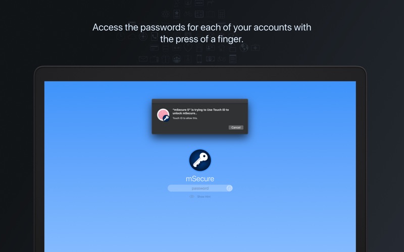 msecure password manager