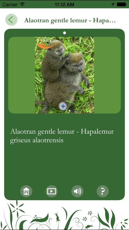 WildMap WK screenshot-4