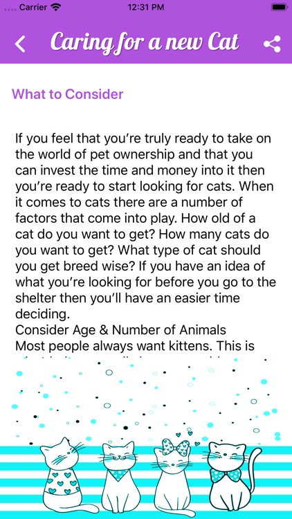 Cute Kitten Knowledge screenshot-3