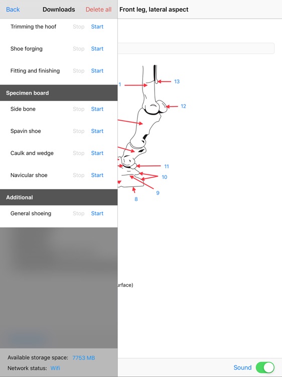 Horse And Farrier screenshot-3