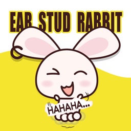 ear stud rabbit