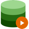 Videlion - Video Organizer pour PC