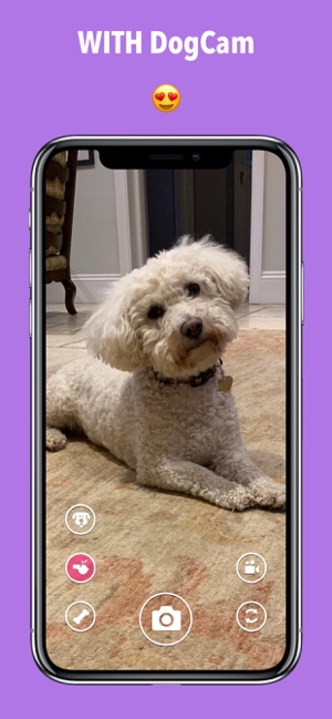 DogCam - Dog Selfie Camera(圖4)-速報App