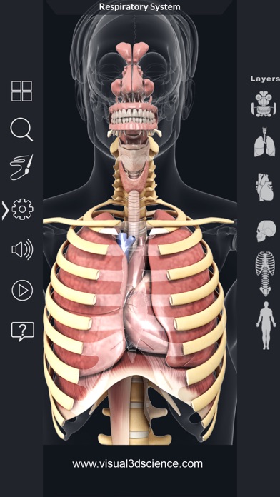 How to cancel & delete My Respiratory System Anatomy from iphone & ipad 3