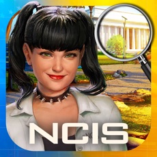 Activities of NCIS: Hidden Crimes