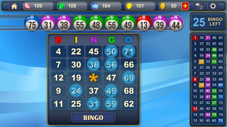 Bingo!!