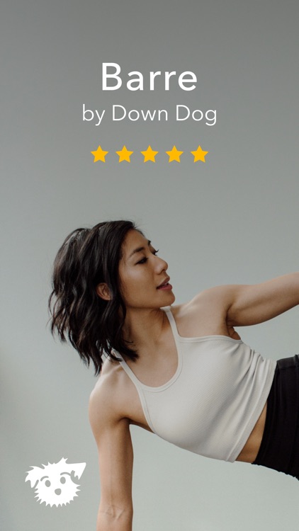 Barre Workouts | Down Dog
