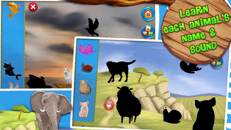 Zoo Animals Flash Cards screenshot-4