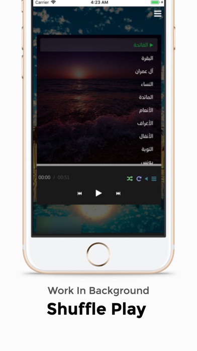Alquran Alkareem MP3 screenshot 3
