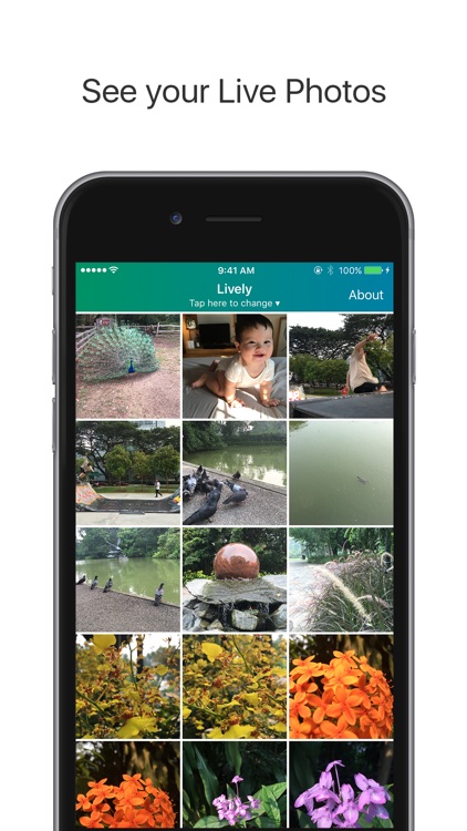 Lively - Live Photo to GIF