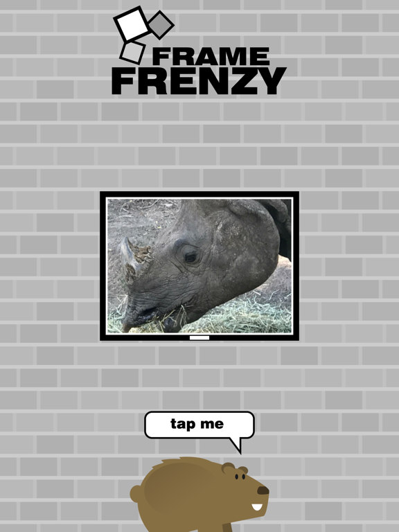 Frame Frenzy