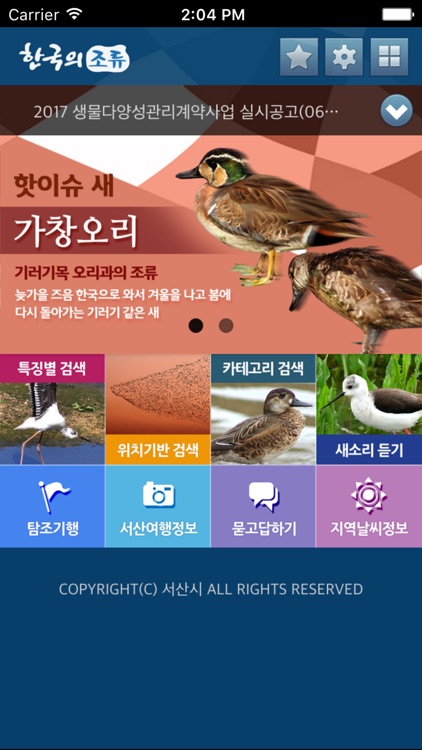 한국의조류