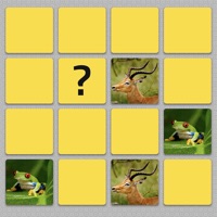 Find The Pairs HouseParty Game