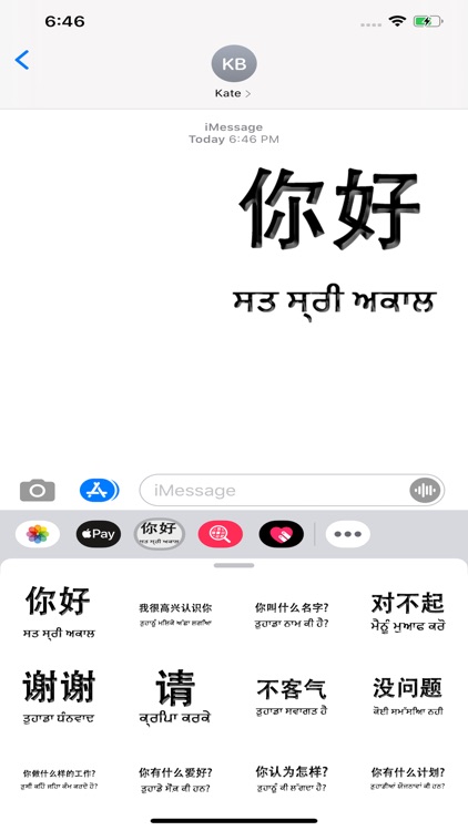 Punjabi Chinese