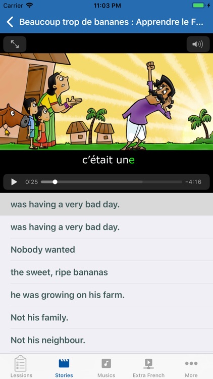 French Language screenshot-3