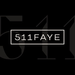 511 Faye