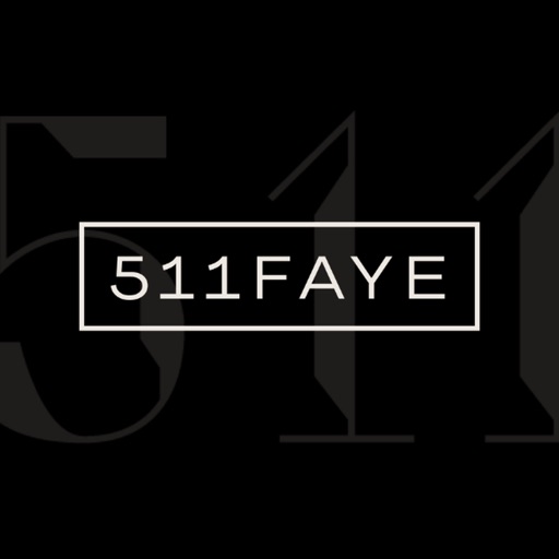 511 Faye