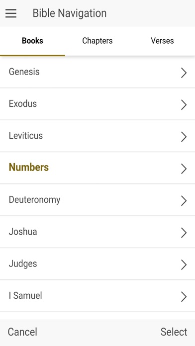 Offline Hebrew Bible screenshot 3