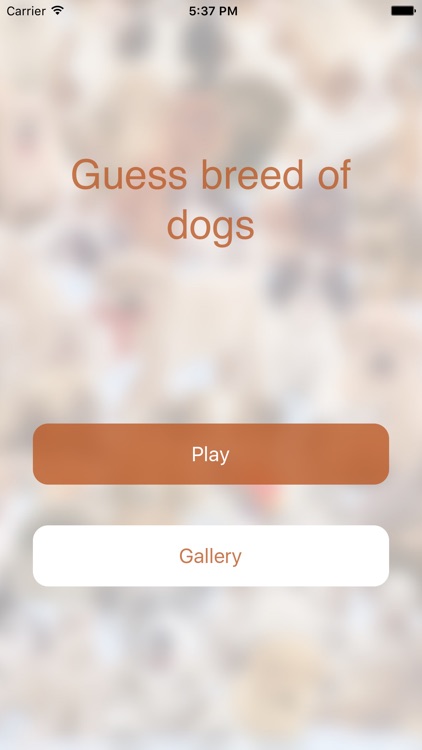 Dogs Breed Quiz