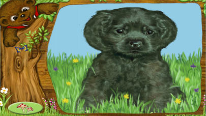 Teddy Bear : Kindergarten screenshot 3