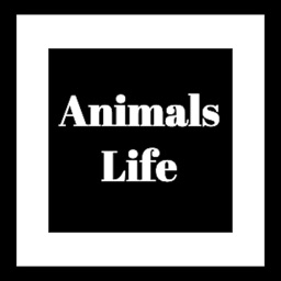 Animal Life