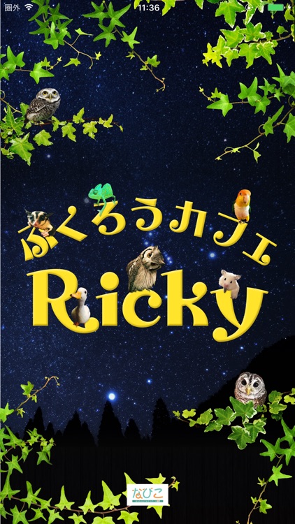 ふくろうカフェ・Ricky screenshot-7