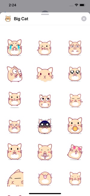 Big Cat: Animated Stickers(圖3)-速報App