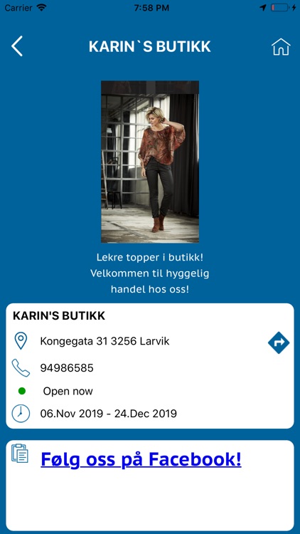 Hele Larvik screenshot-4