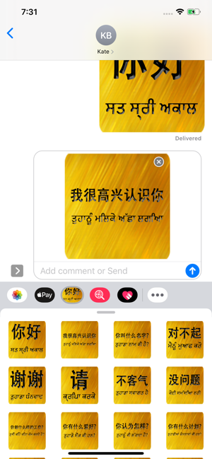 Chinese Punjabi(圖3)-速報App