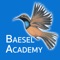 Icon Baesel Academy