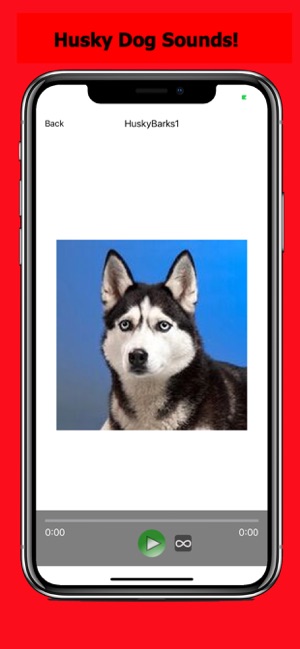 Husky Sounds & Dog Sounds!(圖1)-速報App