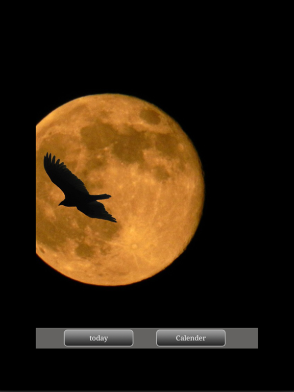 Screenshot #6 pour MoonFace -Calender of the Moon