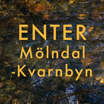 ENTER Mölndal - Kvarnbyn Читы