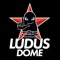 Программа лояльности клуба единоборств и фитнеса Ludus Dome — это возможность заработать бонусные баллы, посещая тренировки и пользуясь дополнительными услугами