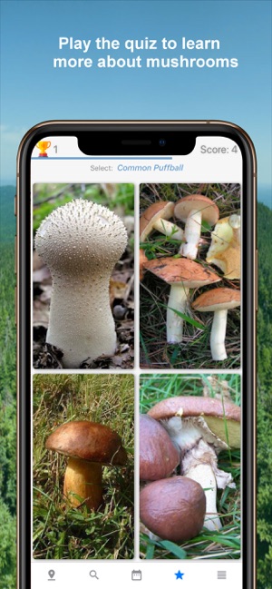 Mushroom Identificator(圖3)-速報App