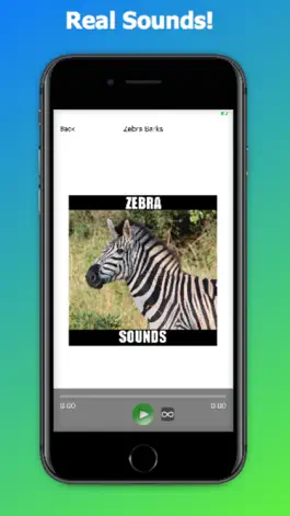 Game screenshot Zebra Sounds hack