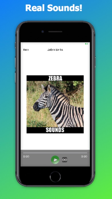 Zebra Sounds screenshot 3