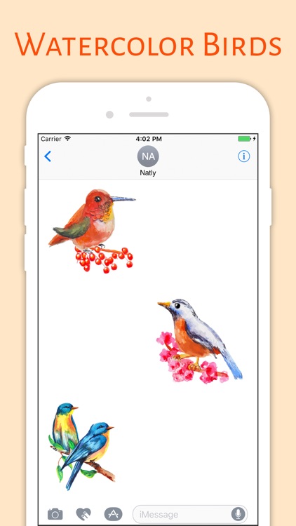 Water Color Birds screenshot-3