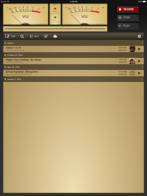 Voice Record Pro screenshot
